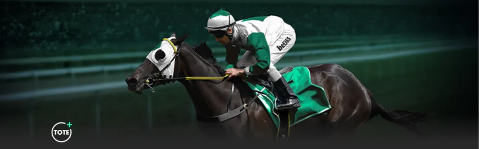 中国冰壶队,循环赛三连,意大利,百家乐,在线百家乐,真人百家乐,百家乐平台,百家乐投注,老虎机