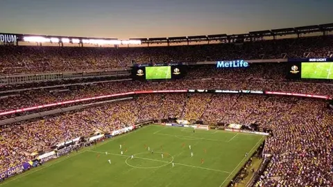 “美国宣布中断援助：南非将不再获得全面支持”