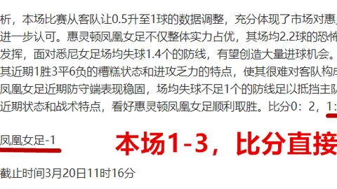 “申花引入强援，米内罗喜迎亚泰胜利后添助力”