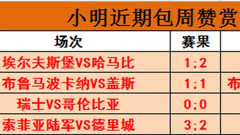 纽约城对多伦多百家乐：全面解析这场12胜17负的焦点之战